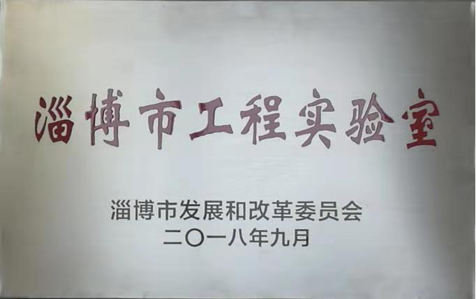 重山光電功能氟碳材料平臺(tái)被認(rèn)定為淄博市工程實(shí)驗(yàn)室