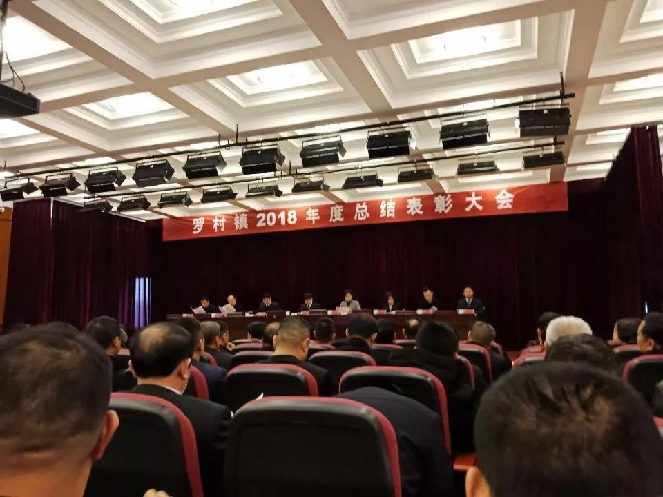 集團(tuán)公司榮獲羅村鎮(zhèn)財(cái)稅貢獻(xiàn)獎