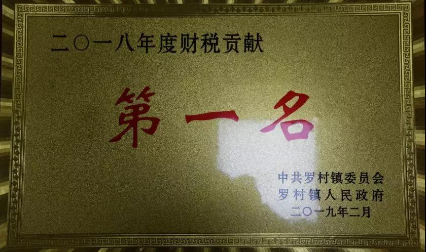 集團(tuán)公司榮獲羅村鎮(zhèn)財(cái)稅貢獻(xiàn)獎(jiǎng)16