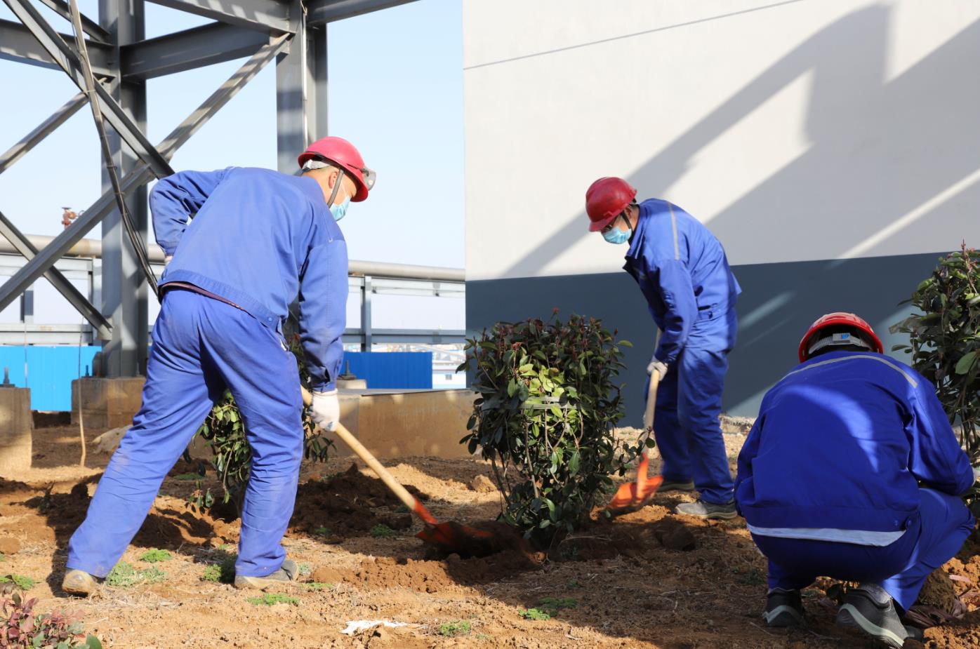 與綠色同行|公司組織員工開展植樹活動(dòng)