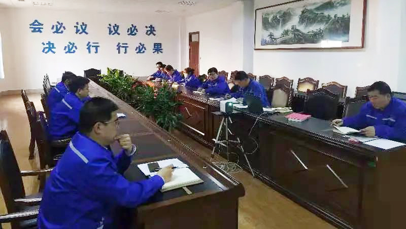 公司黨支部開展主題黨日活動(dòng)