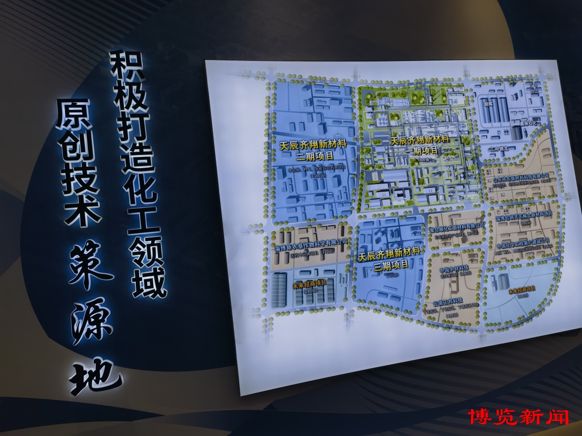 淄博精細化工如何變優(yōu)勢為勝勢？